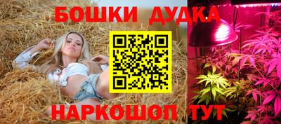 эйфоретик Будённовск