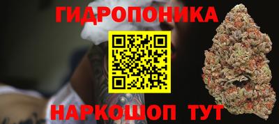 эйфоретик Будённовск