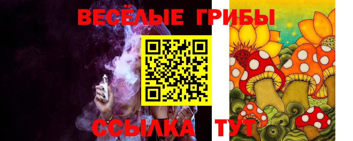 Тутаев  Псилоцибиновые грибы Psilocybine cubensis  Псилоцибиновые грибы Psilocybine cubensis  Вход с VPN 